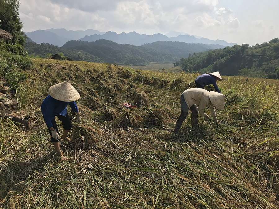 Avontuurlijk Mai Chau & Pu Luong – Groep tour – 3D2N