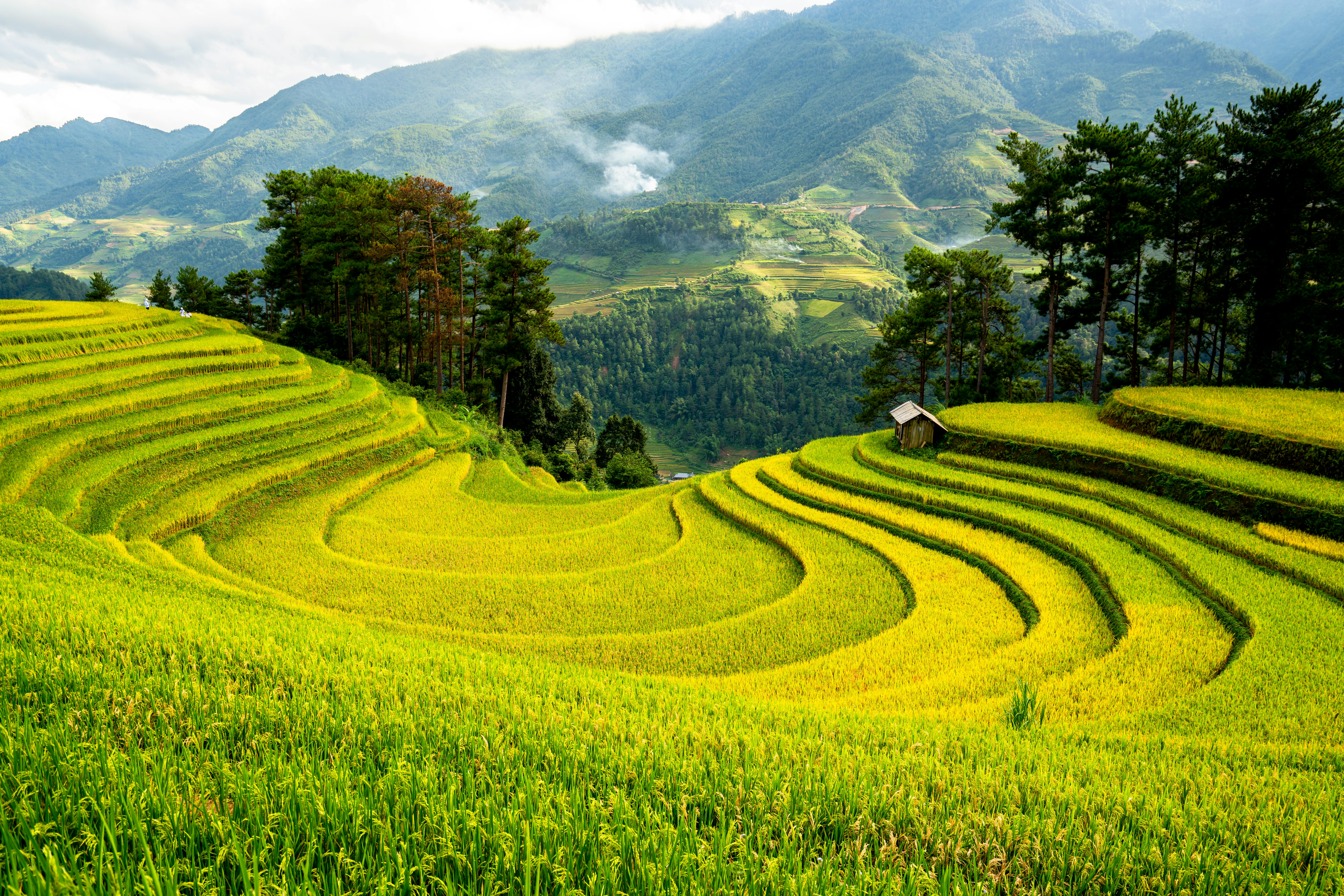 Laos - Get Up and Go